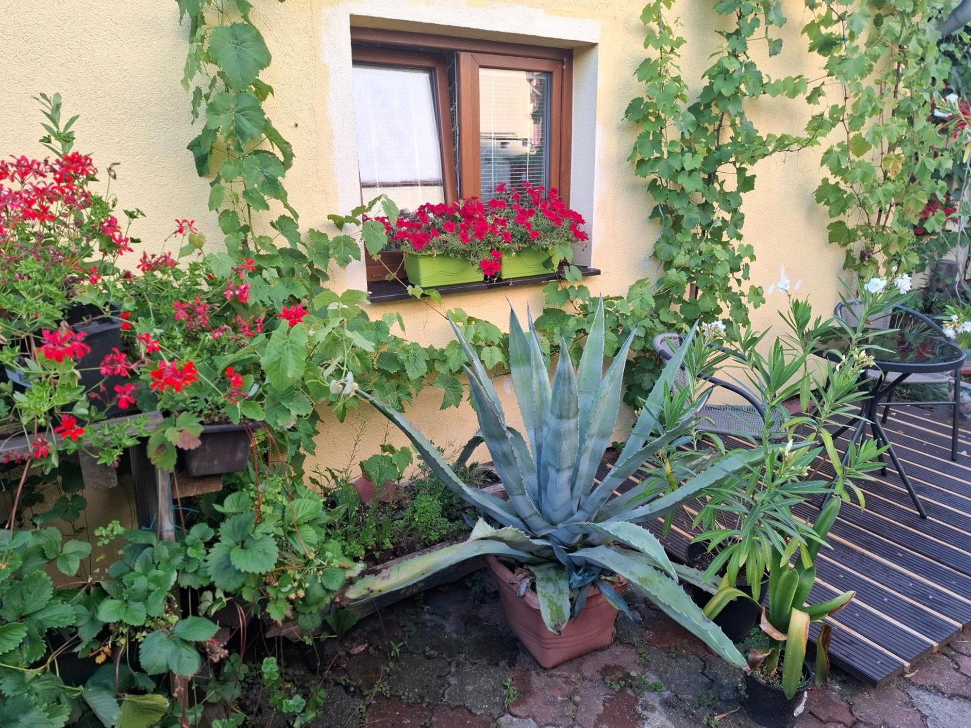 Penzion Many Peny Jindřichŭv Hradec Rum bild