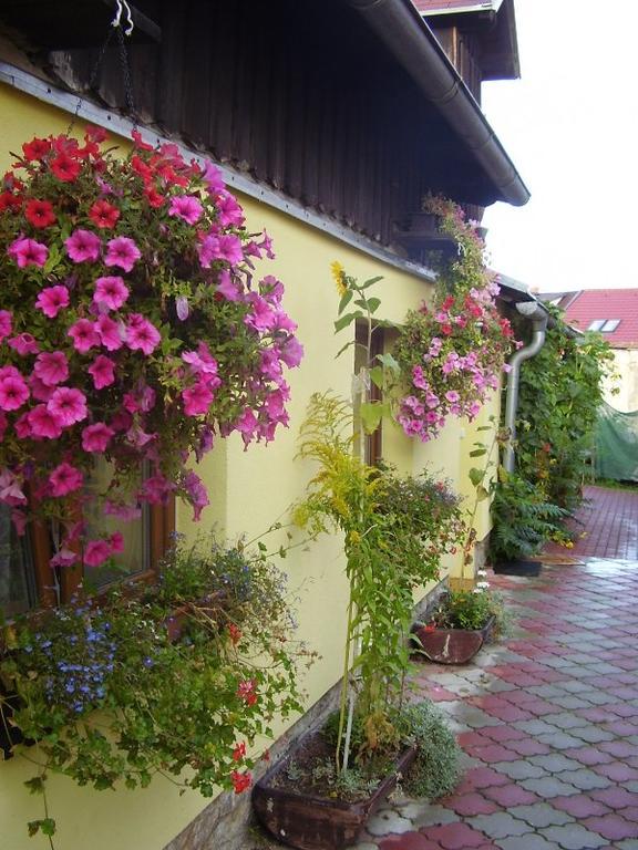 Penzion Many Peny Jindřichŭv Hradec Exteriör bild