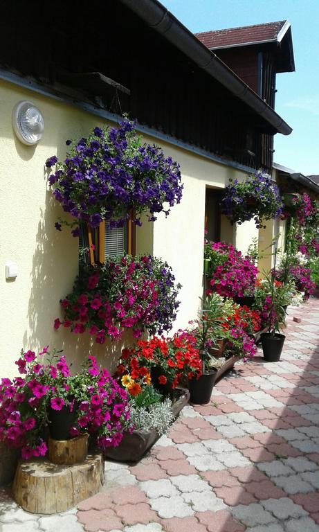 Penzion Many Peny Jindřichŭv Hradec Exteriör bild